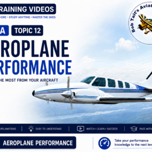 Performance video Topic 12